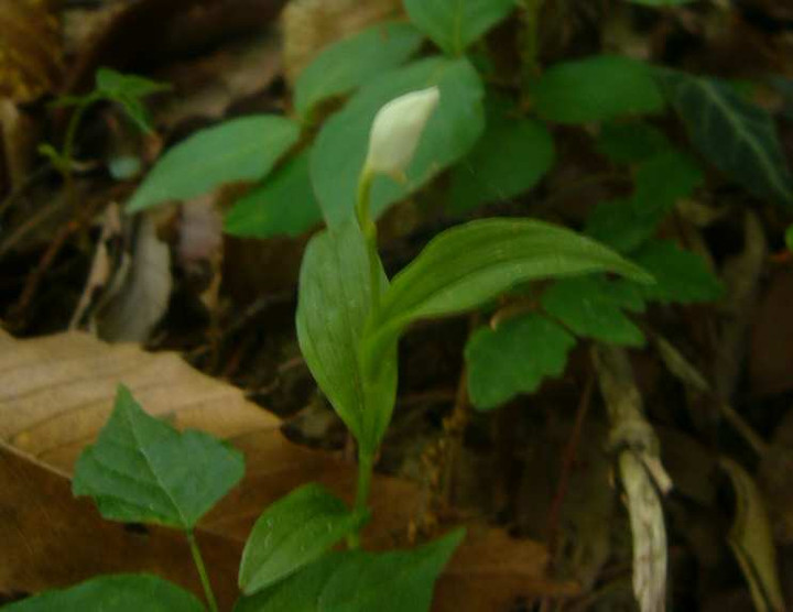 P1100127