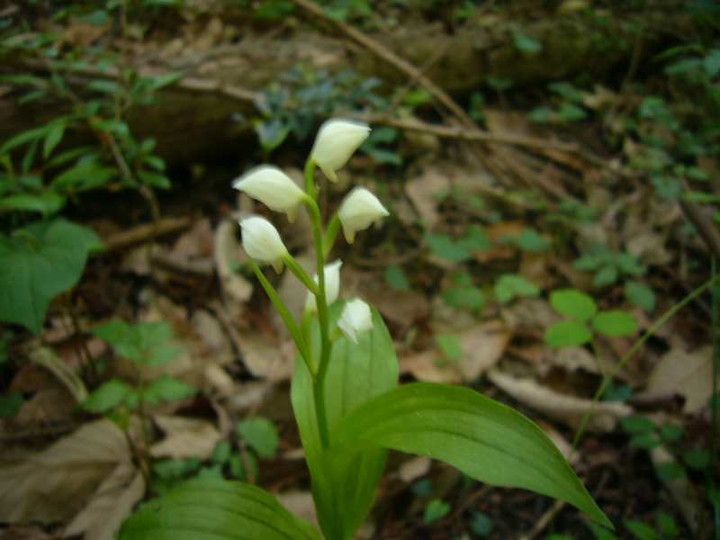 P1100142