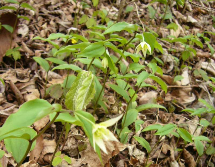 P1080311