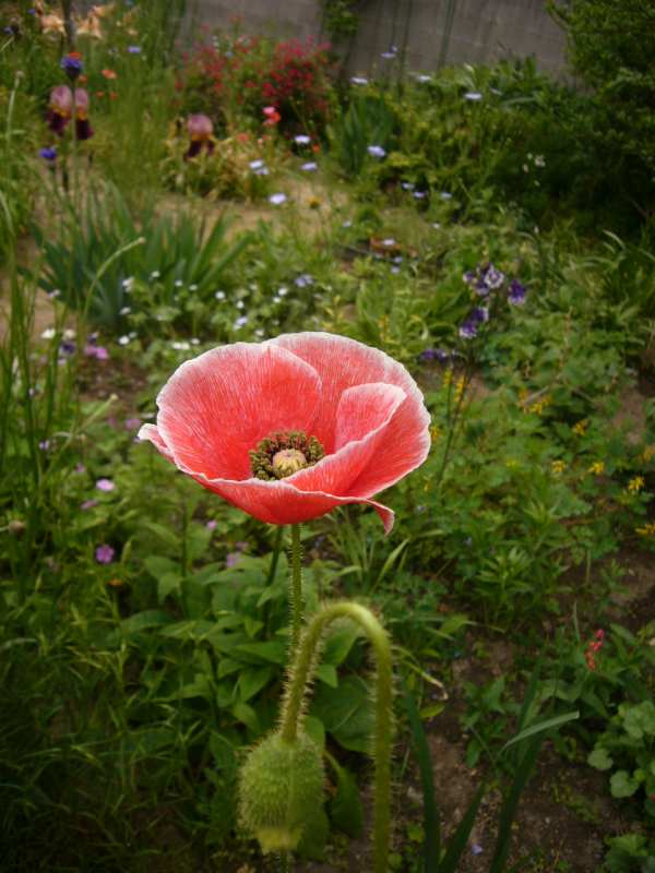 P1080367