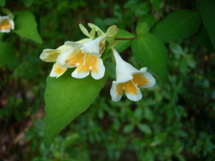 P1080483