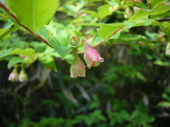 P1080570