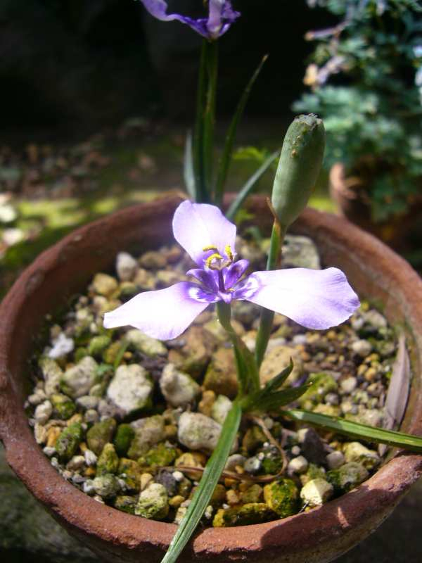 P1100283