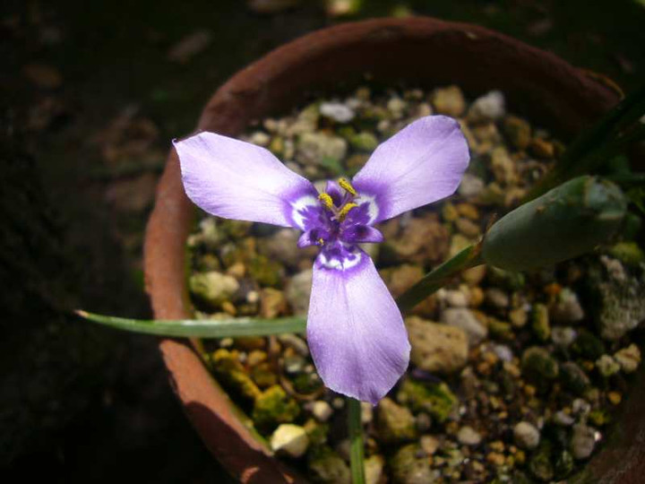P1100286