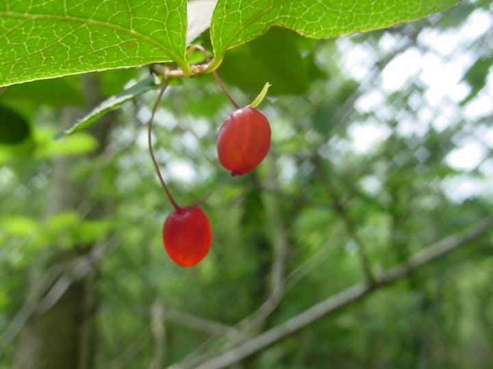 Dsc00298_3