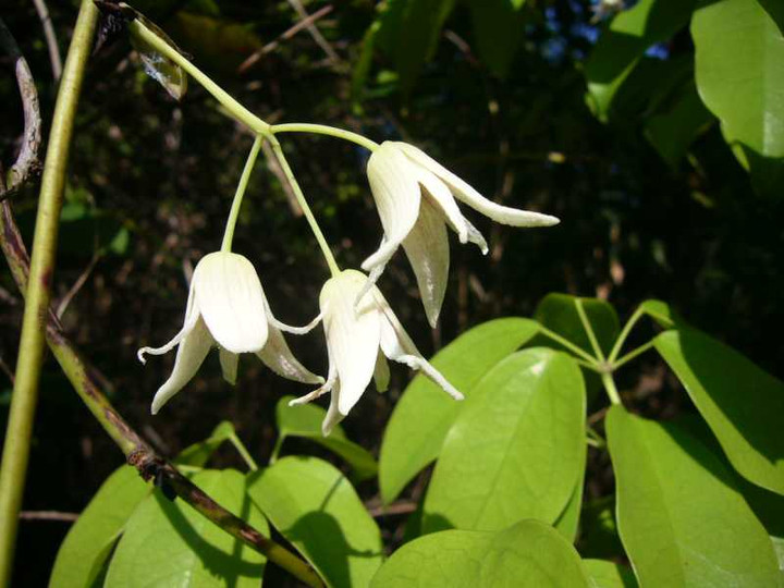 P1080566