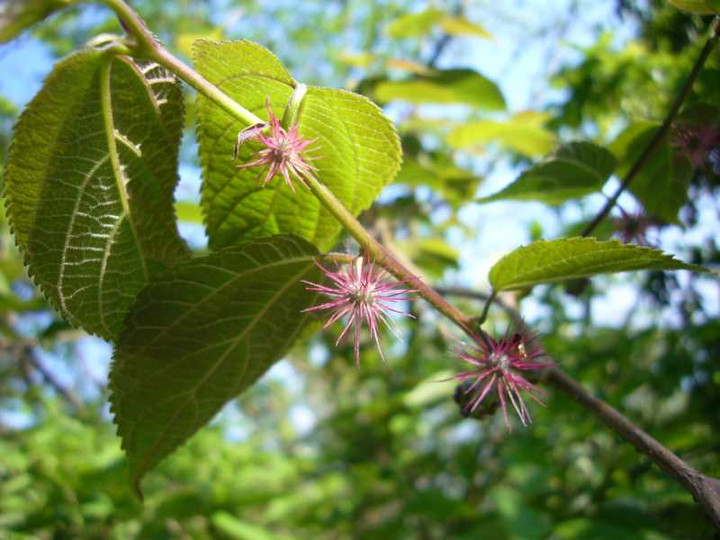 P1080590