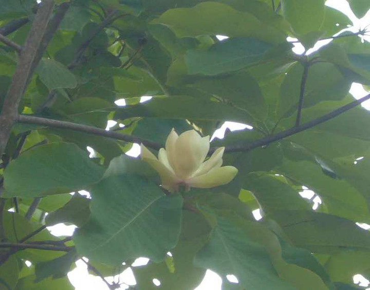 P1100200