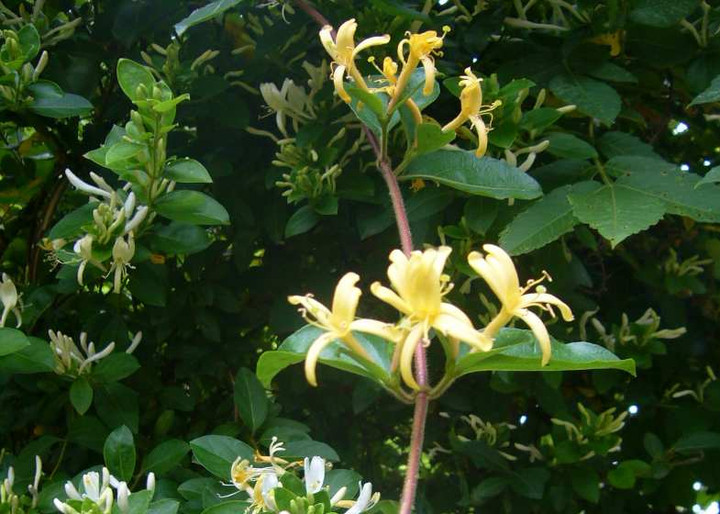 P1100350