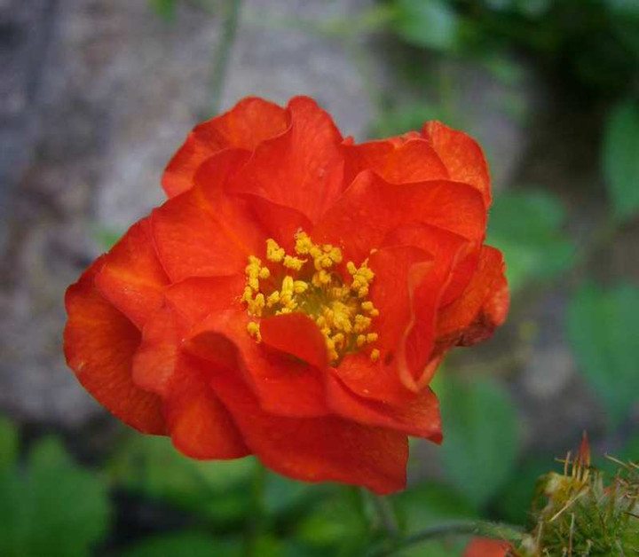 P1100663