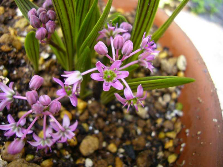 P1080092