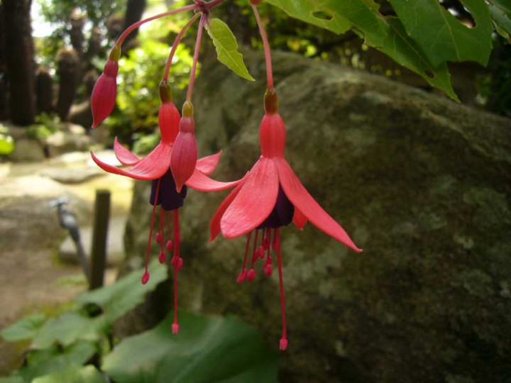 P1100977