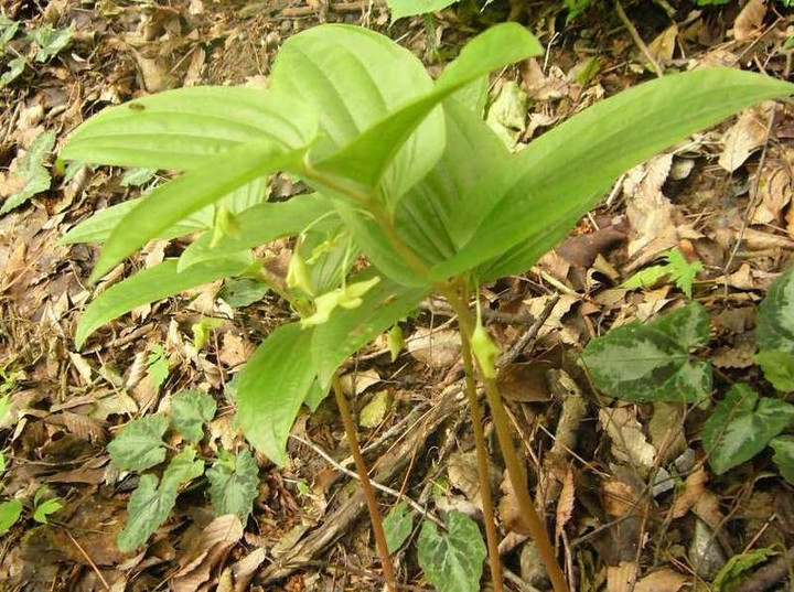 P1100956