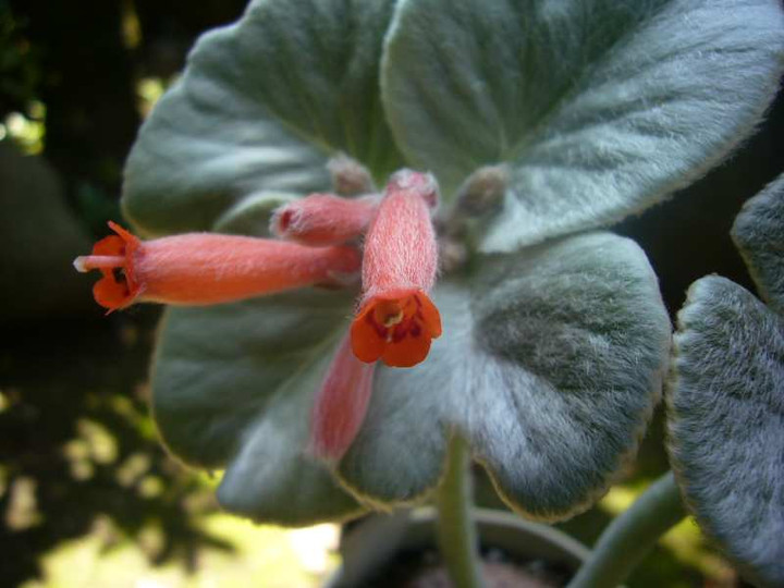 P1110068
