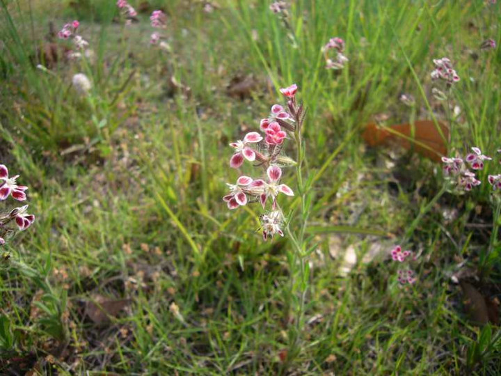 P1100521