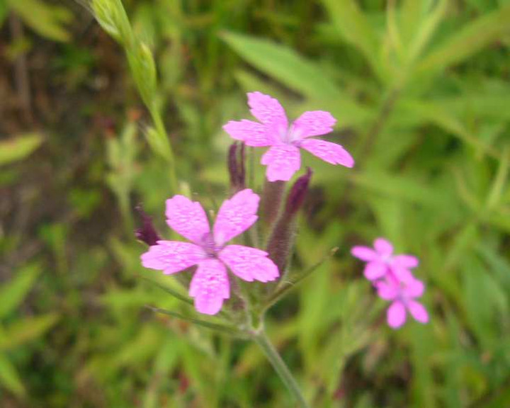 P1110021