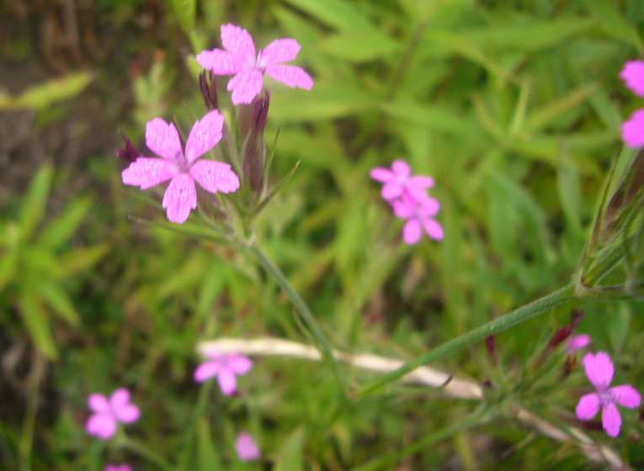 P1110022
