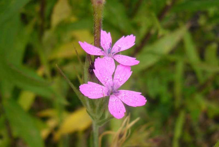 P1110023