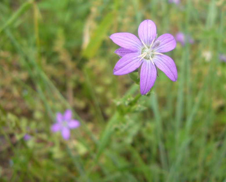 P1110025