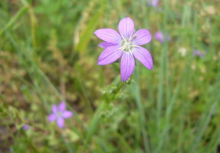 P1110028