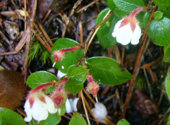 P1110129