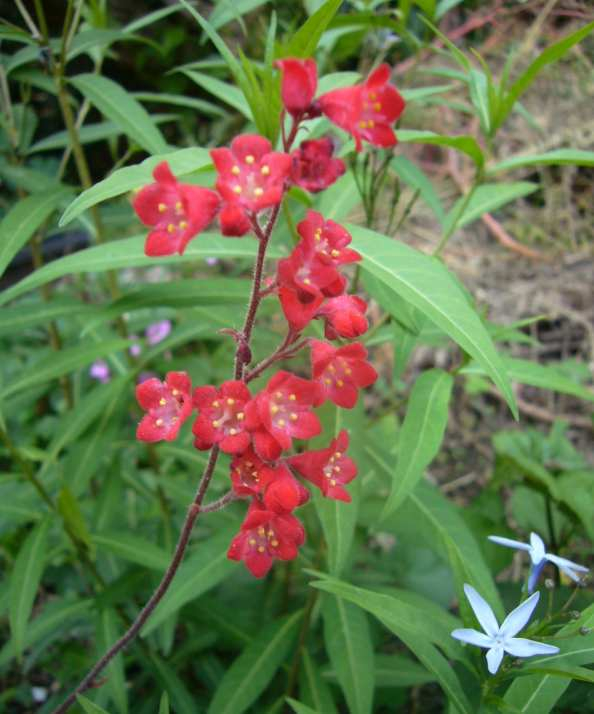 P1090502