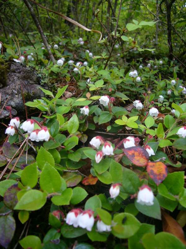 P1110160