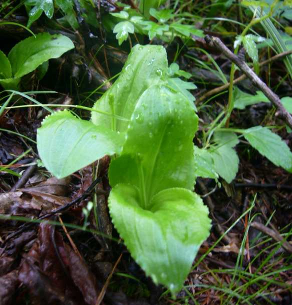 P1110197
