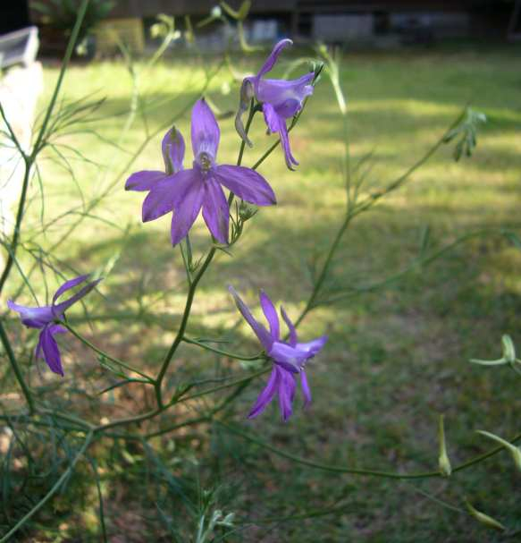 P1090018