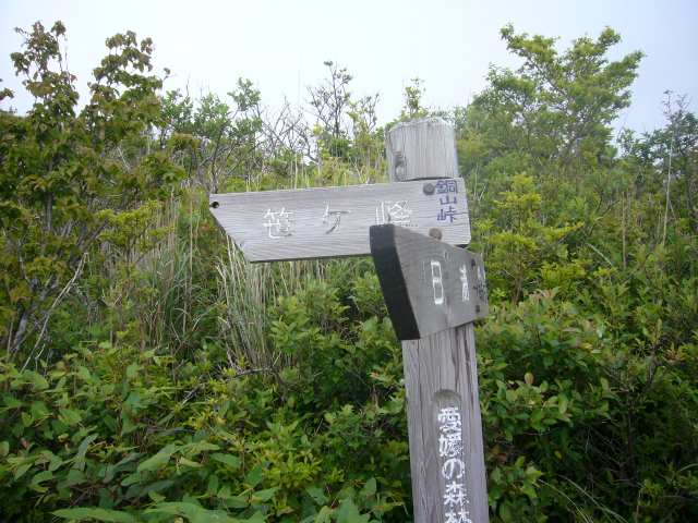 P1110224