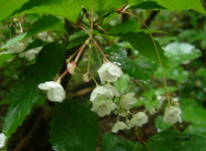 P1110229