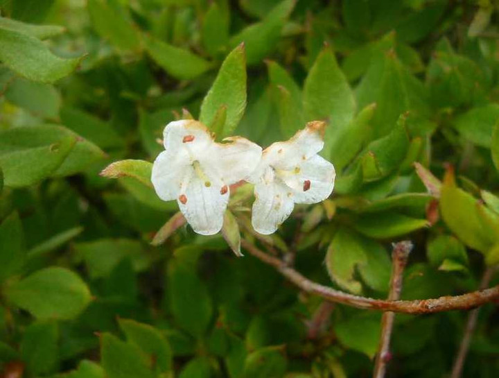 P1110242