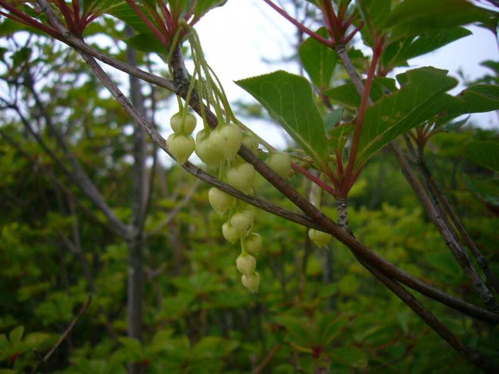 P1110244