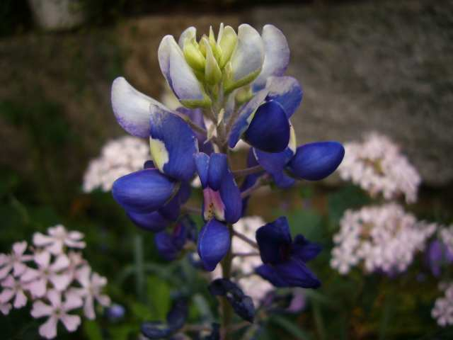 P1080422