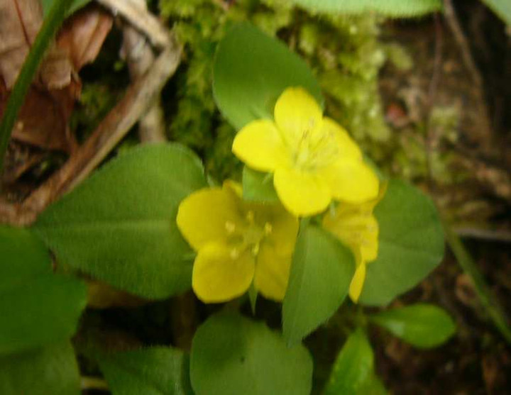 P1110516