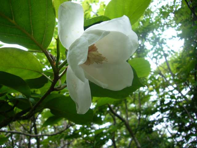 P1110559