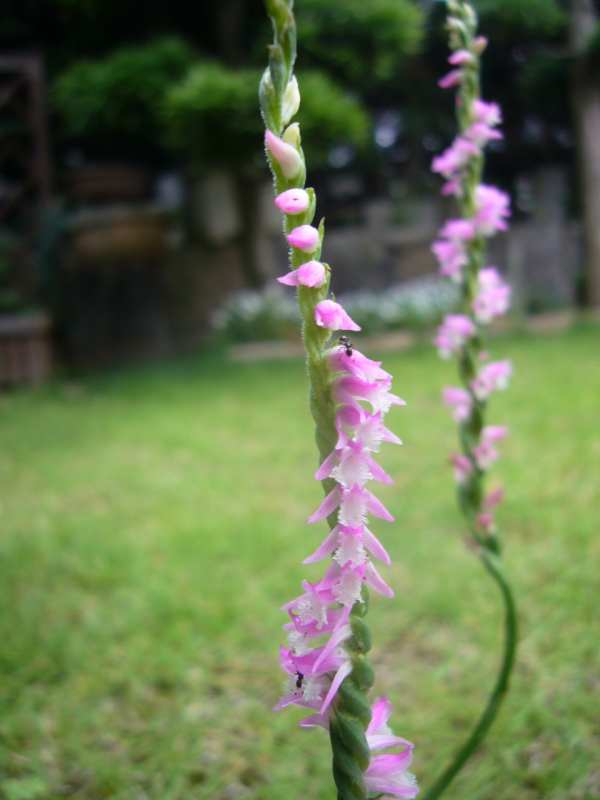 P1110734