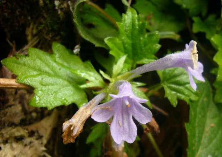 P1110533
