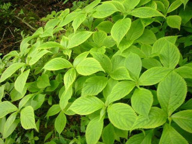 P1110540