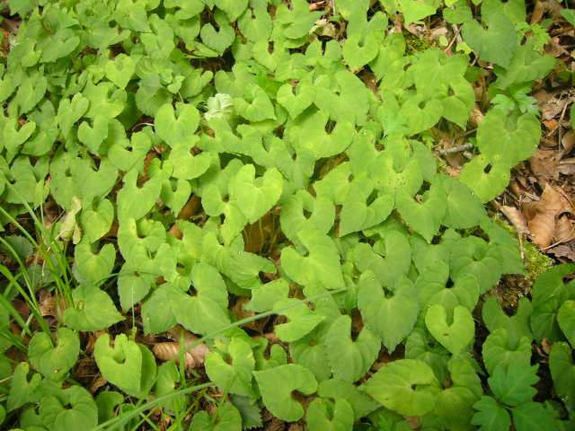 P1110542