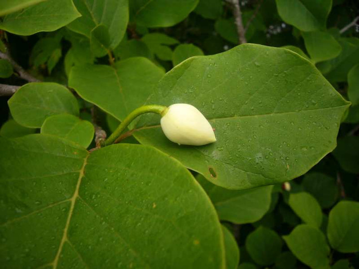 P1110547
