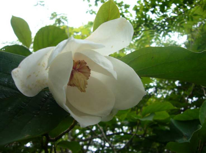 P1110561