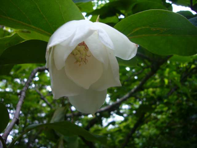 P1110566