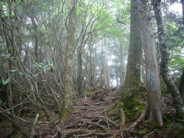 P1110612