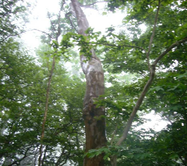 P1110650