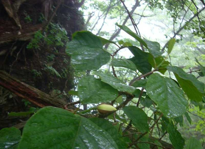 P1110664