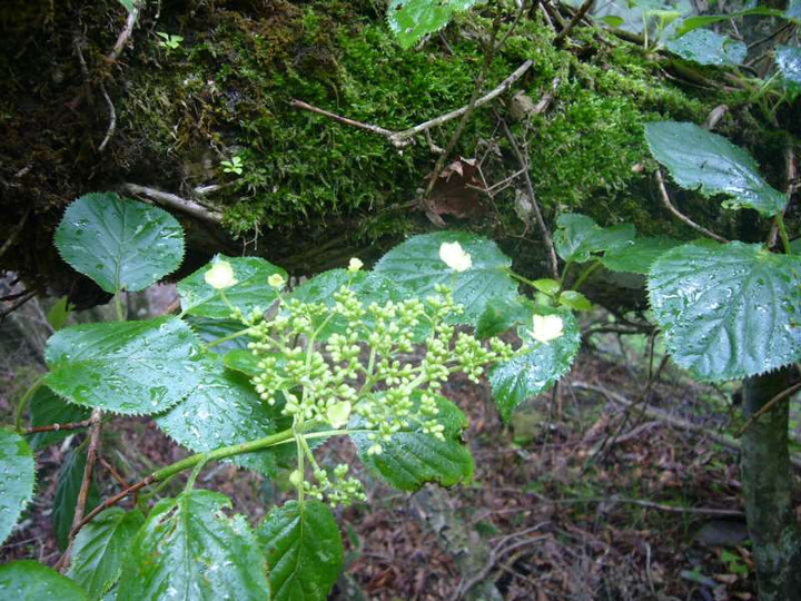 P1110688