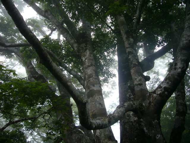 P1110693