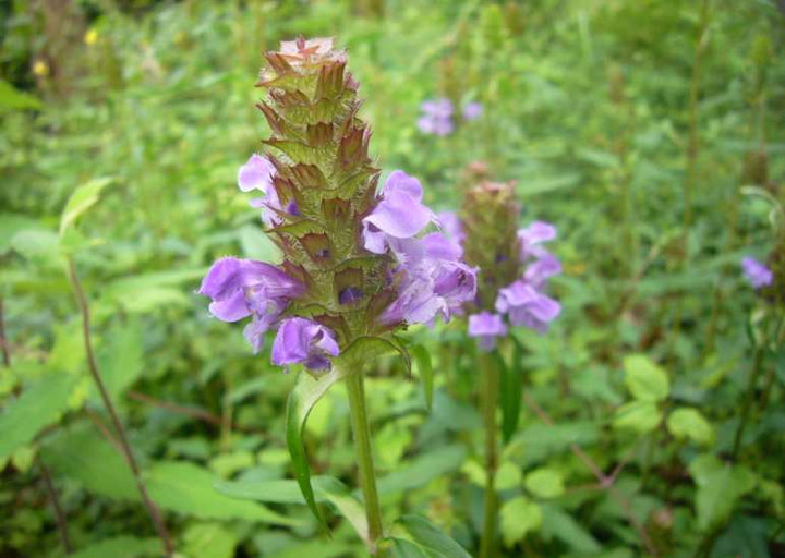 P1110789