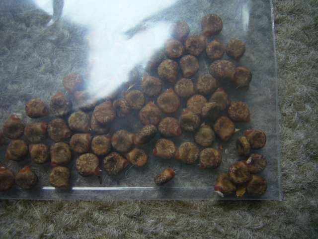 P1110924